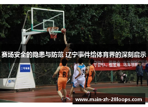 赛场安全的隐患与防范 辽宁事件给体育界的深刻启示