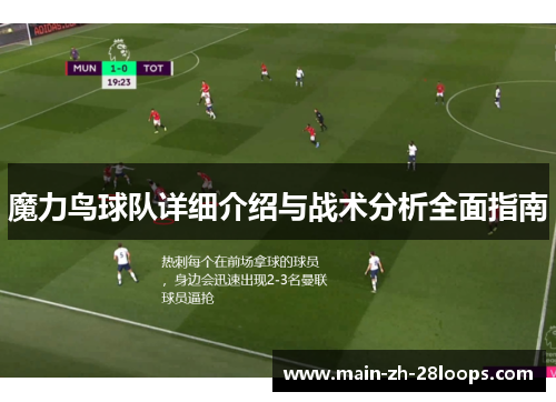 魔力鸟球队详细介绍与战术分析全面指南 魔力鸟球队详细介绍与战术分析全面指南